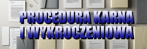 Procedura karna i wykroczeniowa
