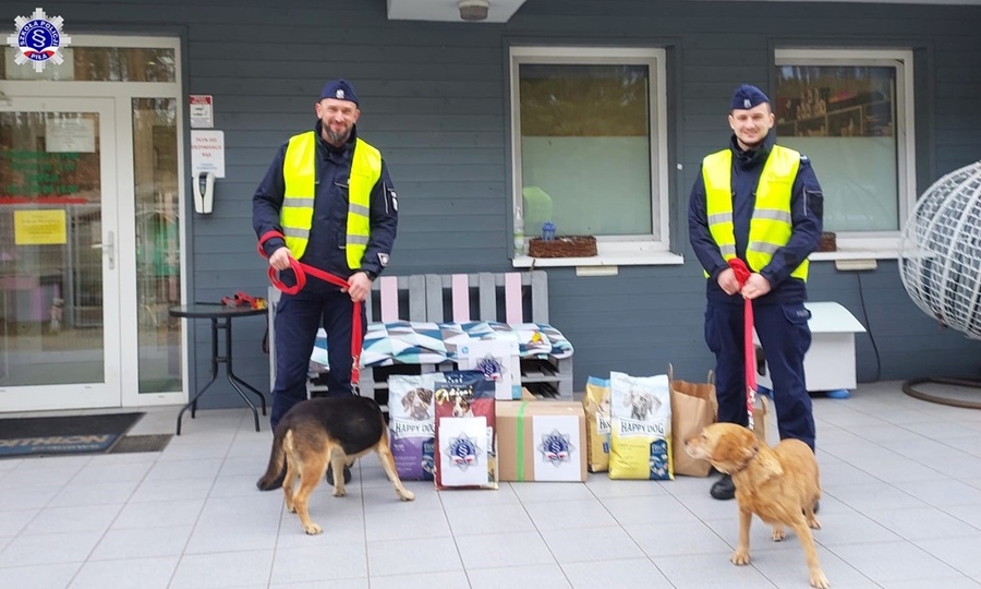 Dwóch umundurowanych przedstawicieli samorządu Szkoły Policji w Pile trzymający na smyczy psy - podopiecznych schroniska. Obok dary dla zwierząt.