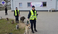Umundurowani funkcjonariusze spacerujący z psami
