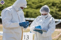 Dokumentowanie czynności oględzinowych.