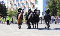 Pokaz w Miasteczku Policyjnym pododdziałów konnych z KWP w Poznaniu oraz KWP w Szczecinie