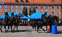 Pokazy wyszkolenia pododdziałów konnych z Komend Wojewódzkich Policji w Szczecinie oraz w Poznaniu.