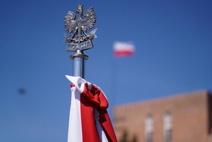 widok na formacje policjantów