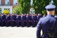 widok na formacje policjantów